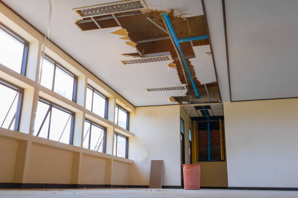 Best Flood damage cleanup  in Fremont, MI