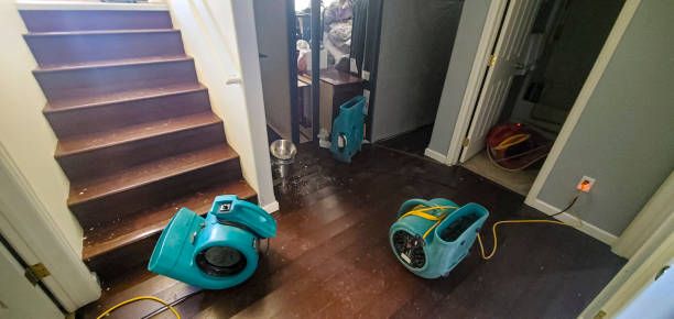 Best Flood restoration services  in Fremont, MI