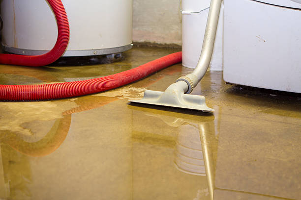 Best Fire Damage Restoration  in Fremont, MI