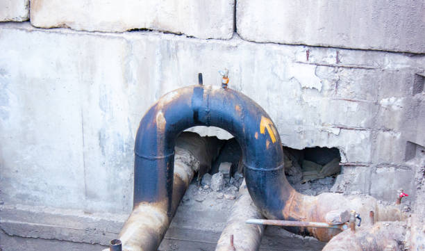 Best Carpet water damage restoration  in Fremont, MI