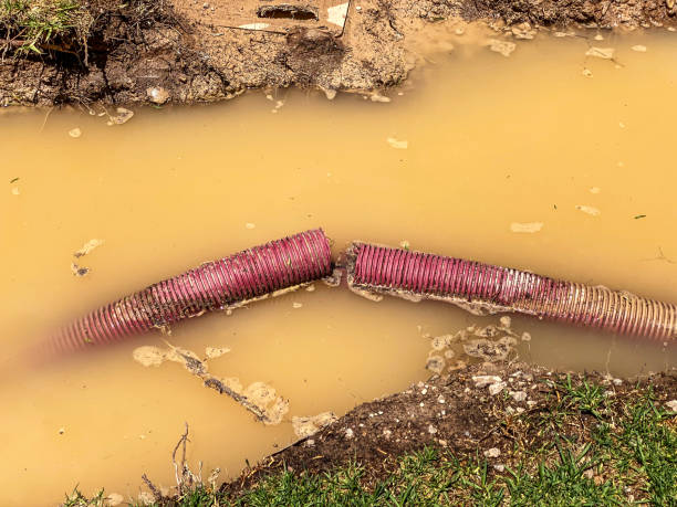 Best Professional water damage repair  in Fremont, MI